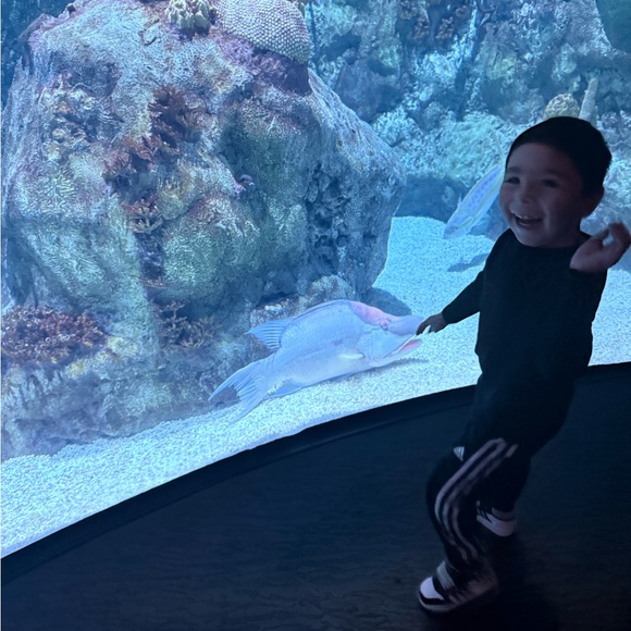 Meet your Posher, Kesia - Picture 2 of 3